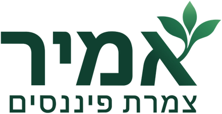 אמיר צמרת פיננסים — לעמוד הבית